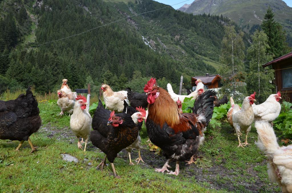 Appartementhaus Naturquell Sankt Leonhard im Pitztal Exteriör bild